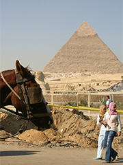 写真：エジプト